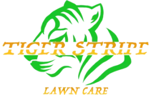 Green tiger outline with company name: tiger stripe lawn care, going through outline